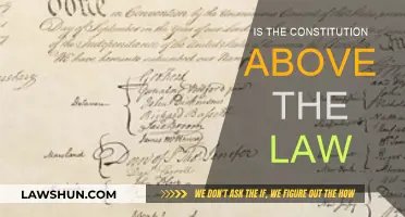 The Constitution: Beyond the Law's Reach?