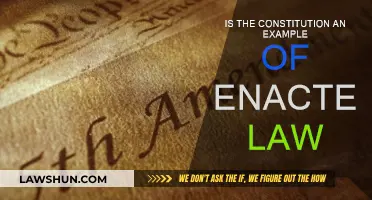 The Constitution: Enacted Law or Not?
