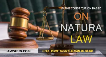 Natural Law: Foundation of the Constitution?