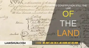 The Constitution: Still Relevant or Relic?