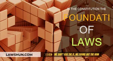 The Constitution: Basis of All Laws?