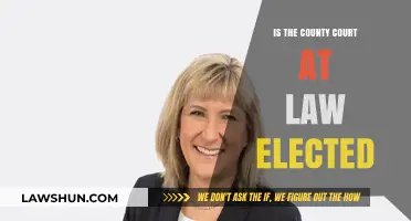 Are County Court at Law Judges Elected? Understanding Judicial Selection