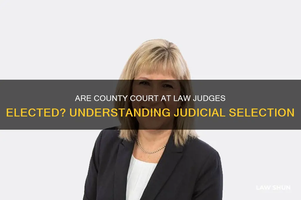 is the county court at law elected