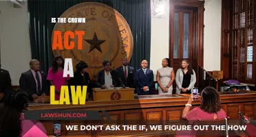 Is the CROWN Act a Law? Understanding Hair Discrimination Legislation