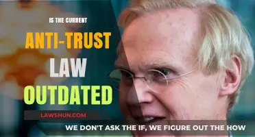 Are Anti-Trust Laws Still Relevant in Today's Digital Economy?