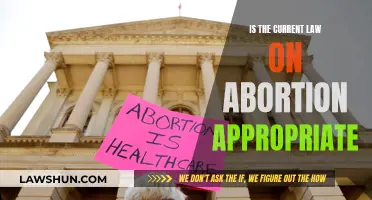 Abortion Law: Is It Time for Change?