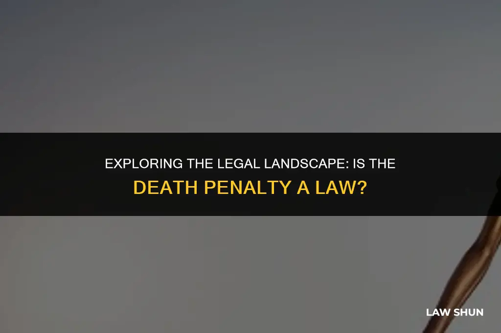 is the death penalty a law