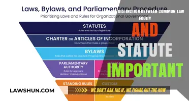 Equity, Common Law, and Statute: What's the Distinction?