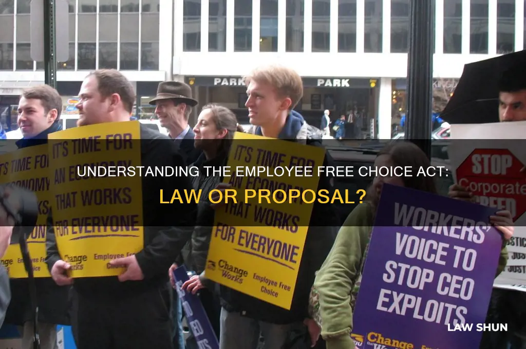 is the employee free choice act law