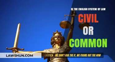 The English Legal System: Civil or Common?
