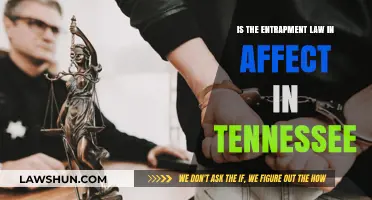 Tennessee's Entrapment Law: Is It Active and How Does It Work?