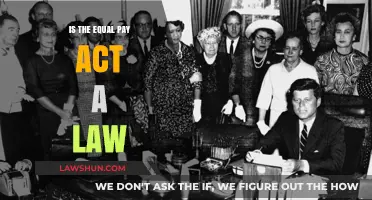 Is the Equal Pay Act Legally Binding? Understanding Its Legal Status
