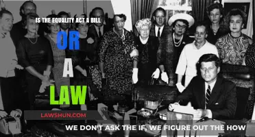 Understanding the Equality Act: Bill or Law? Key Insights Explained