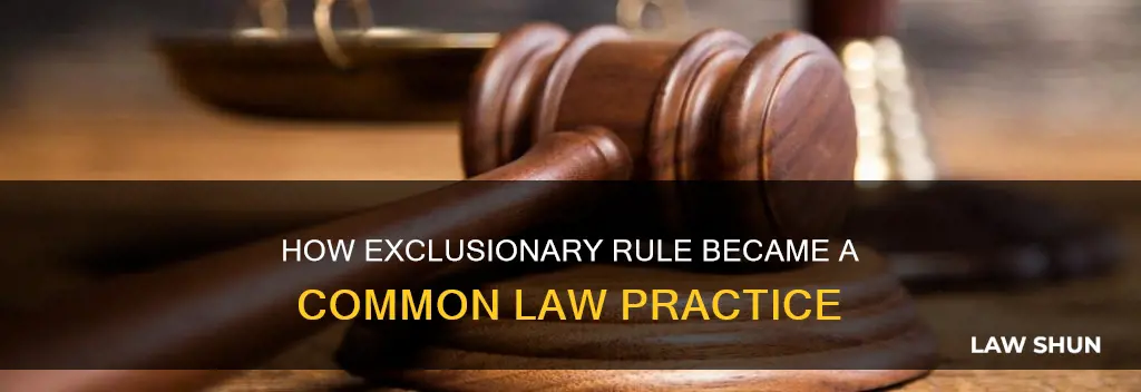 is the exclusionary rule a judge made or common law