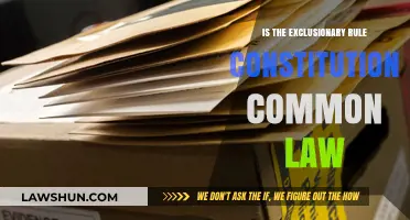 The Exclusionary Rule: Constitutional or Common Law?