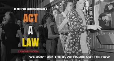 Is the Fair Labor Standards Act Legally Binding? Exploring Its Legal Status