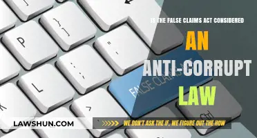 Is the False Claims Act an Anti-Corruption Law?