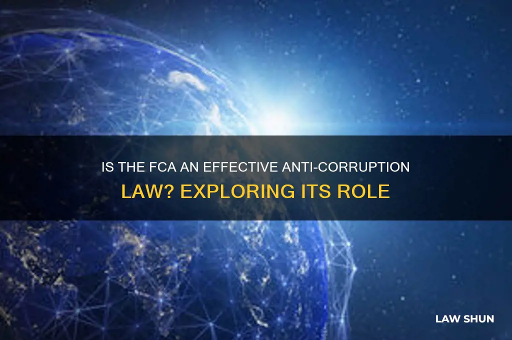 is the fca considered an anti-corruption law