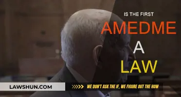 Understanding the First Amendment: Law or Not?