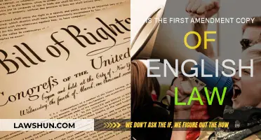 First Amendment: English Law's Offspring?