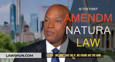 First Amendment: Natural Law or Not?