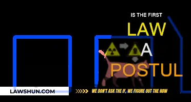 The First Law: Postulate or Principle?
