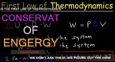 Thermodynamics' First Law: Energy Conservation Explained