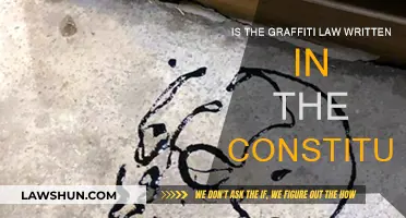 Graffiti Law: Is It in the Constitution?