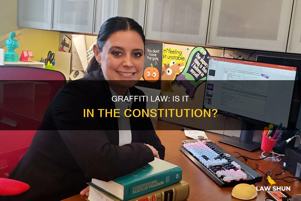 is the graffiti law written in the constitution