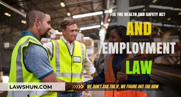 Health and Safety Act: Its Role in Employment Law Explained