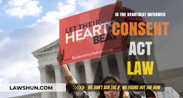 Understanding the Heartbeat Informed Consent Act: Legal Status and Implications