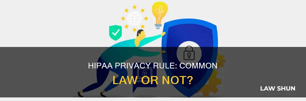 is the hipaa privacy rule common law