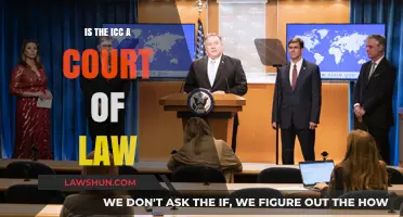 Is the ICC a Court of Law? Understanding Its Legal Authority