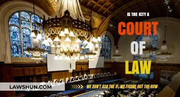 Is the ICTY a Court of Law? Exploring Its Legal Authority