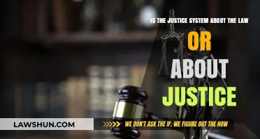 Justice vs. Law: Navigating the System's True Purpose and Impact