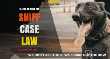 K9 Free Air Sniff Case Law: What You Need to Know