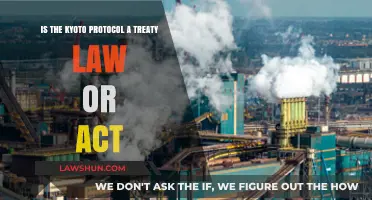 Kyoto Protocol: Treaty, Law, or Act? Understanding Its Legal Status