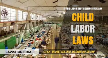 Child Labor Laws Under Review: Potential Rollbacks by Labor Dept?