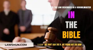 Biblical Law as Schoolmaster: Exploring Its Role in Scripture