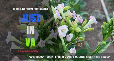Virginia's Tobacco 21 Law: Understanding the Age Restriction and Its Impact