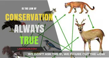 Is the Law of Conservation Universally True? Exploring Scientific Limits