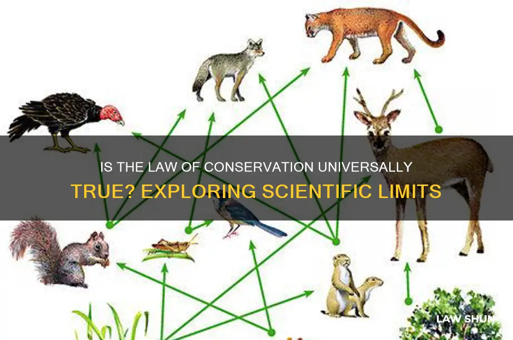 is the law of conservation always true