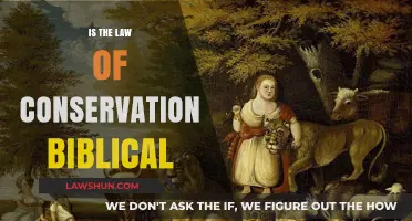 Biblical Insights on the Law of Conservation: A Scriptural Exploration
