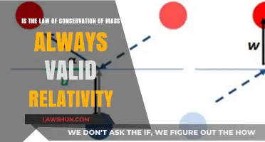 Relativity's Impact: Does Conservation of Mass Always Hold True?