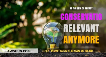 Is Energy Conservation Still Relevant in Today's Evolving World?