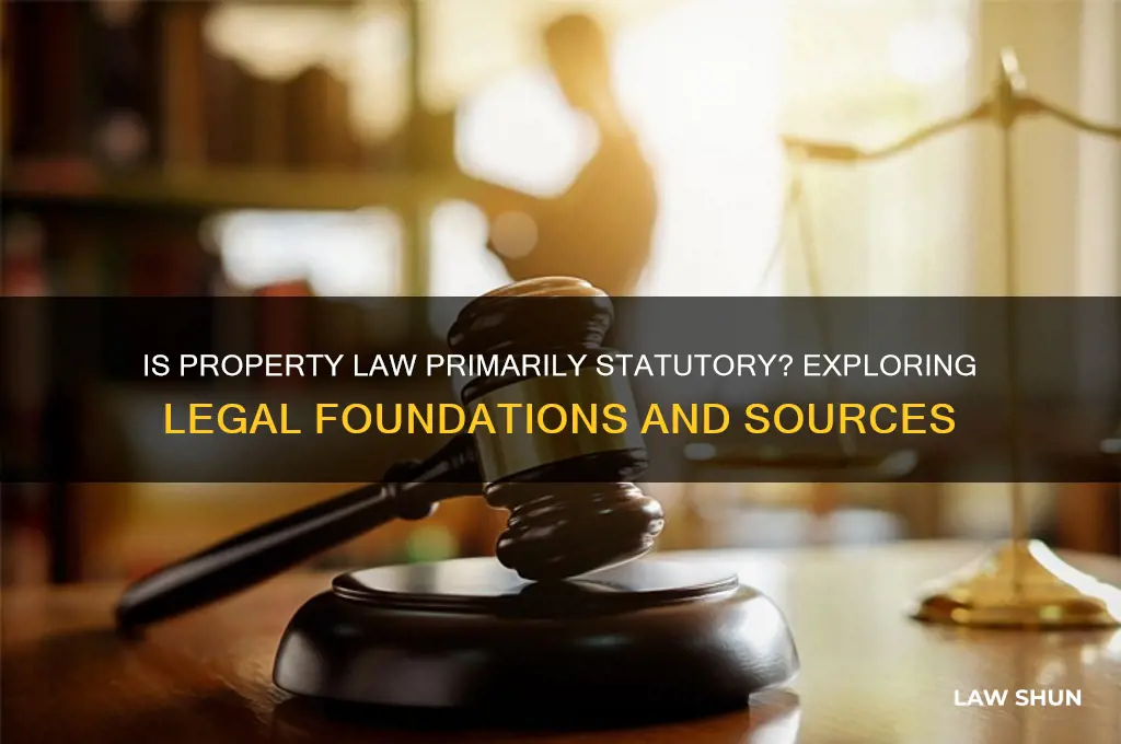 is the law of property mostly statutory