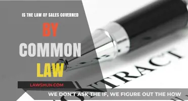 Sales Law: Common Law or Statute?