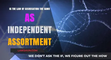 Law of Segregation vs. Independent Assortment: Key Genetic Differences Explained