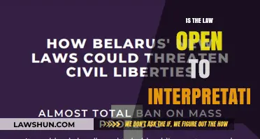 Is the Law Open to Interpretation? Exploring Legal Flexibility and Boundaries