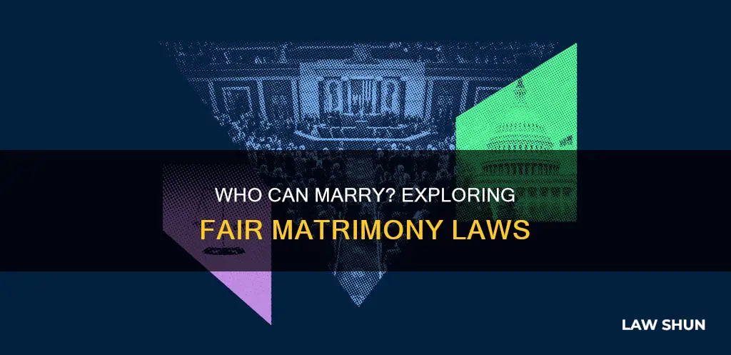 is the law persons who may contract matrimony fair